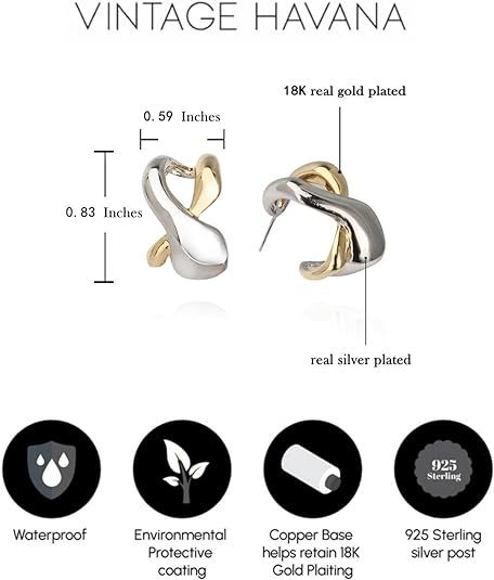 Two-Tone Drop Earrings For Women 18K Gold Plated/Silver Plated |925 Sterling Silver Post | Non Tarnish & Waterproof | Gift For Her - TempleTape.com